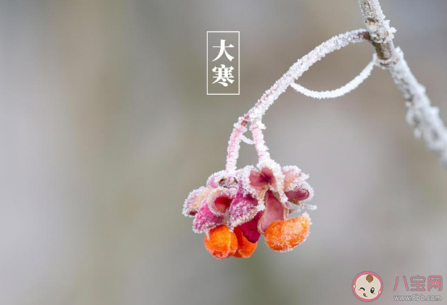 2020大寒節(jié)氣搞笑文案說說 大寒節(jié)氣幽默搞笑的句子