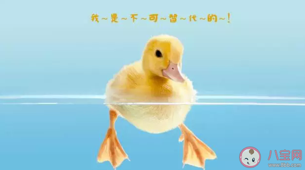 孩子為什么會缺鐵 如何正確給孩子補鐵2020