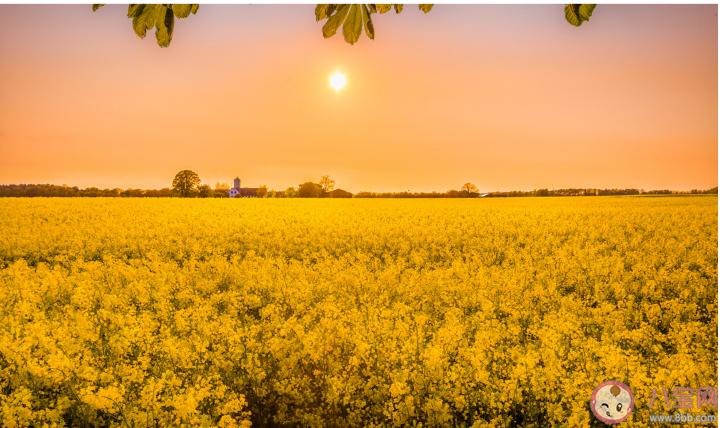 生活圈子小的人該如何找對象 為什么圈子太小都沒對象