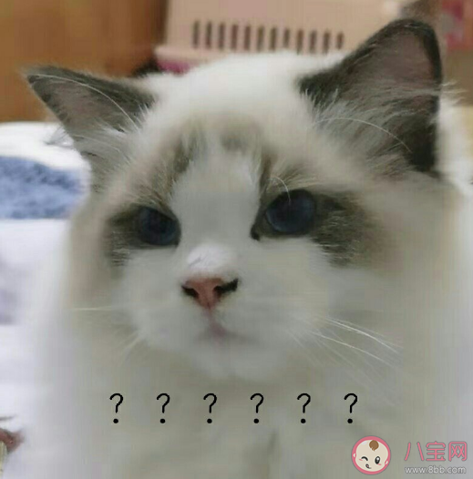 女生不會打扮是什么體驗 女生不會打扮自己怎么辦