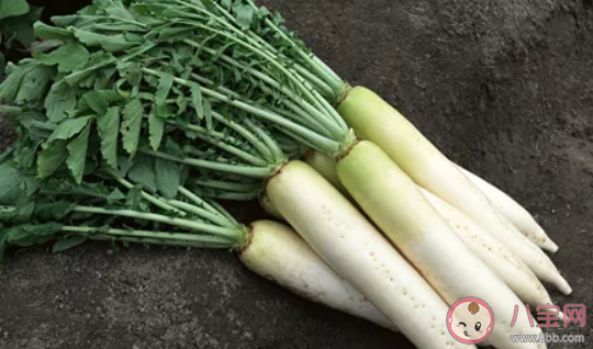 大寒節(jié)氣吃什么蔬菜 大寒節(jié)氣養(yǎng)生蔬菜大全