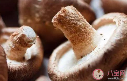 大寒節氣吃什么蔬菜 大寒節氣養生蔬菜大全