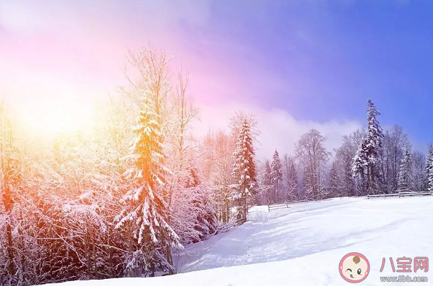 三九天怎么調理身體 三九天該如何進補 三九天怎么調理身體 三九天該如何進補