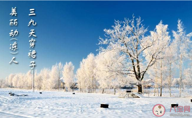 三九天經(jīng)典祝福語(yǔ)說說文案 三九天短信祝福語(yǔ)朋友圈句子 三九天經(jīng)典祝福語(yǔ)說說文案 三九天短信祝福語(yǔ)朋友圈句子