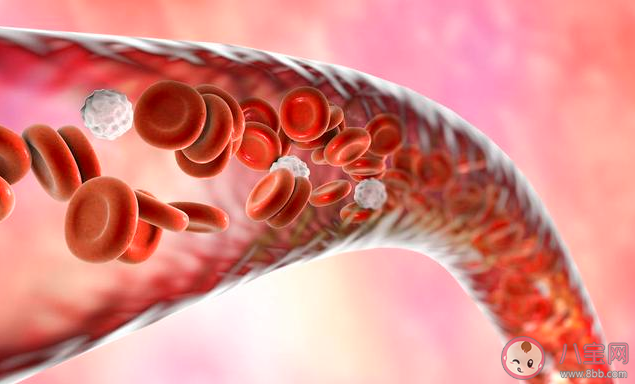 吃什么食物能軟化血管 軟化血管食物推薦