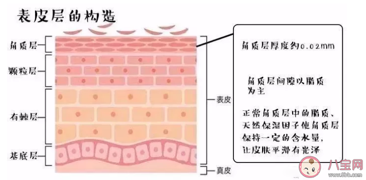 孕婦必須用專用的護膚品嗎 懷孕還能化妝護膚嗎