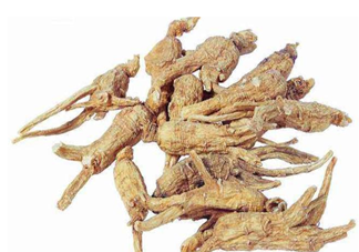 黃芪當歸泡水喝有什么功效 黃芪當歸怎么吃補血養生