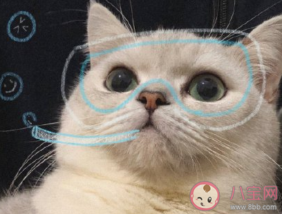 突然間不火的網絡梗有哪些 2020突然間不火的網絡梗