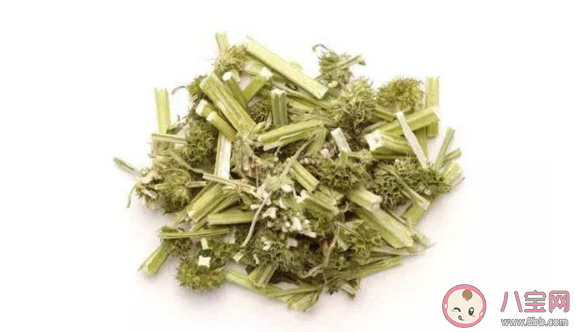 益母草什么時候喝最好 益母草對宮寒有效果嗎