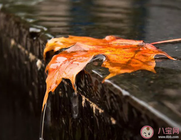 不忘初心說說朋友圈 不忘初心說說句子 不忘初心說說朋友圈 不忘初心說說句子