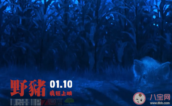 你被野豬拱了嗎是什么意思 你被野豬拱了嗎梗的出處是什么