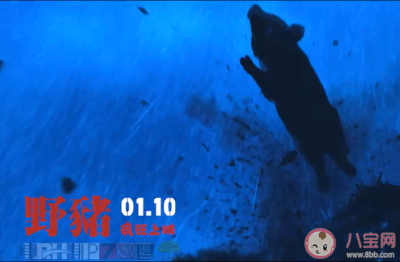 你被野豬拱了嗎是什么意思 你被野豬拱了嗎梗的出處是什么