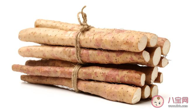 鐵棍山藥比普通山藥更有營養嗎 鐵棍山藥和普通山藥有什么區別