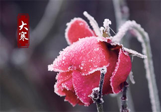 2020今日大寒節(jié)氣朋友圈心情句子 今日大寒唯美文案說說