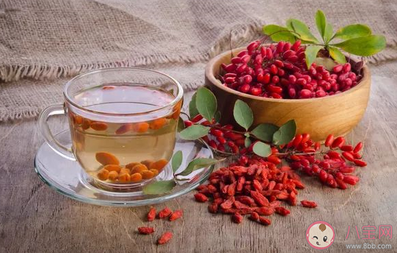 紅棗泡枸杞水能每天喝嗎 紅棗泡枸杞水的禁忌是什么 紅棗泡枸杞水能每天喝嗎 紅棗泡枸杞水的禁忌是什么