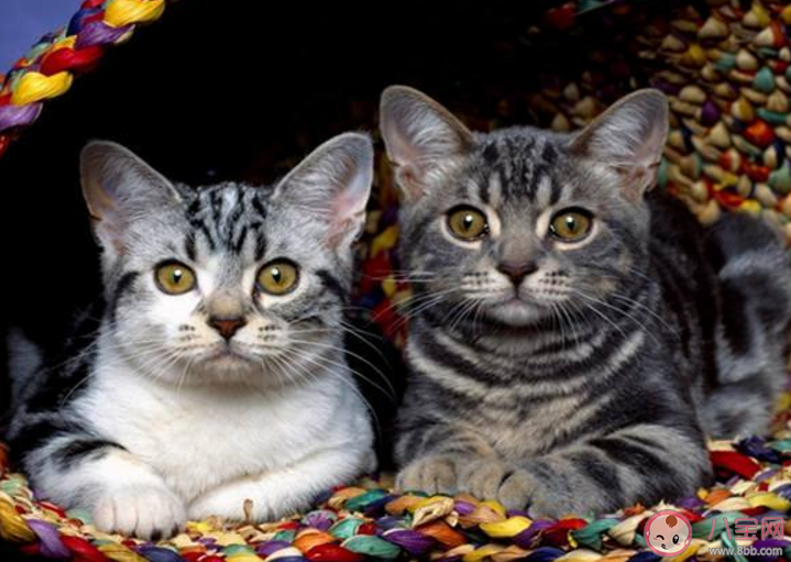 父母老了你最擔心的是什么 怎么才能讓父母不擔心自己