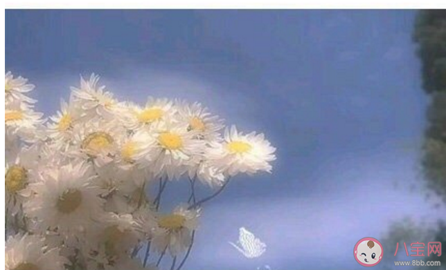 父母老了你最擔心的是什么 怎么才能讓父母不擔心自己