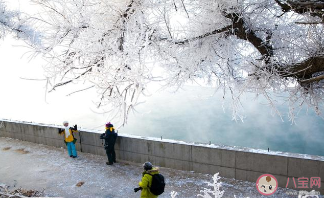 三九天怎么養生2020 三九天養生常識