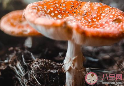 三九天太冷朋友圈說說 三九天冷的說說句子