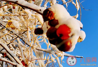 三九天太冷溫暖問候語 三九天溫暖說說句子