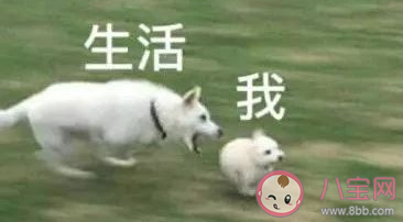 成年人的辛酸在哪里 成年人感到心酸的事情