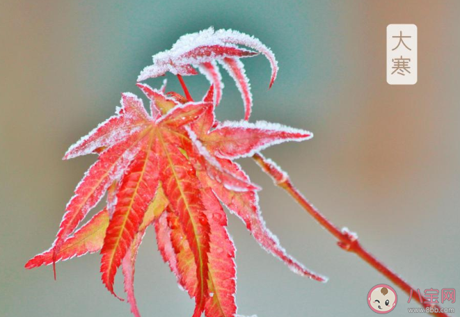 2020大寒早安心語文案句子帶圖 大寒節氣早安朋友圈說說祝福語