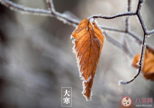 2020大寒早安心語文案句子帶圖 大寒節氣早安朋友圈說說祝福語