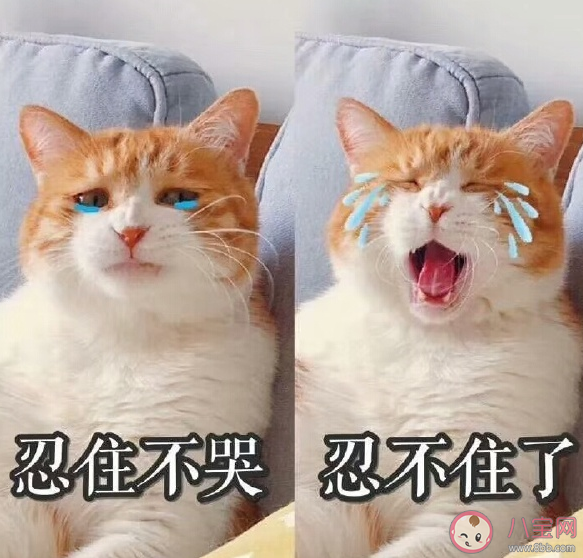 戀愛(ài)恐懼癥有哪些表現(xiàn) 戀愛(ài)恐懼癥怎么辦