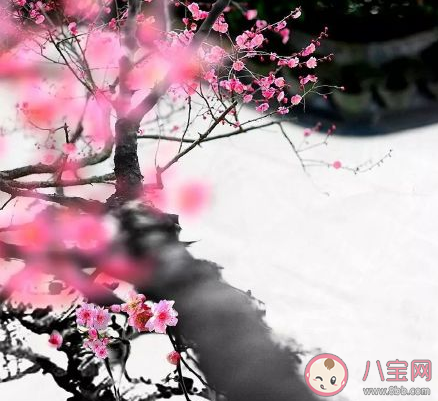 最適合冬天發朋友圈的句子 關于冬天的朋友圈文案說說2020 最適合冬天發朋友圈的句子 關于冬天的朋友圈文案說說2020