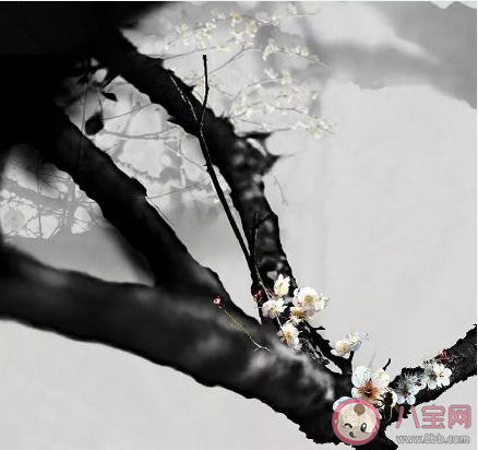 最適合冬天發朋友圈的句子 關于冬天的朋友圈文案說說2020 最適合冬天發朋友圈的句子 關于冬天的朋友圈文案說說2020