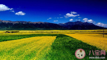 去過一次還想再去的城市 你心中還想再去一次的城市有哪些