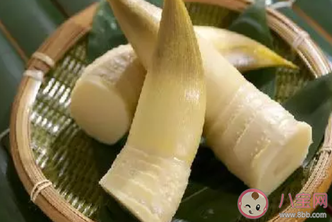 2020立春養生食譜大全 立春養生菜譜制作方法