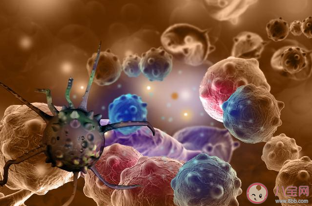 科學(xué)家找到癌細(xì)胞轉(zhuǎn)移擴(kuò)散原因是真的嗎 癌細(xì)胞轉(zhuǎn)移擴(kuò)散的原因是什么