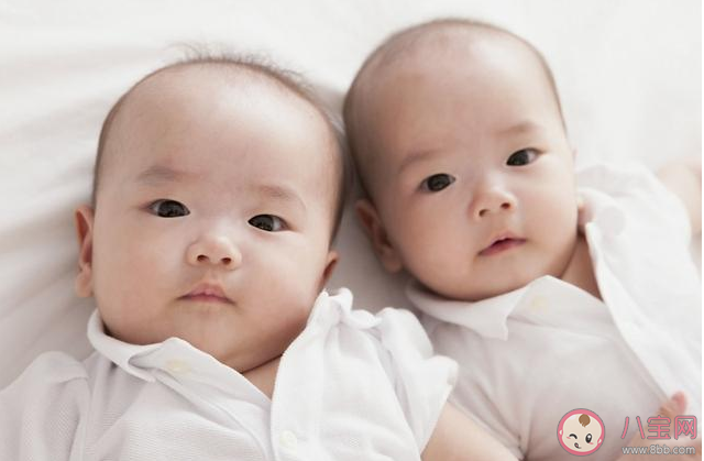 2019新生兒名字排行榜 2019新生兒爆款名字名單