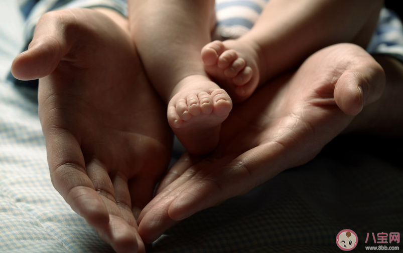 春運回家怎么穩(wěn)定孩子的情緒 春節(jié)哄娃方法分享2020 春運回家怎么穩(wěn)定孩子的情緒 春節(jié)哄娃方法分享2020