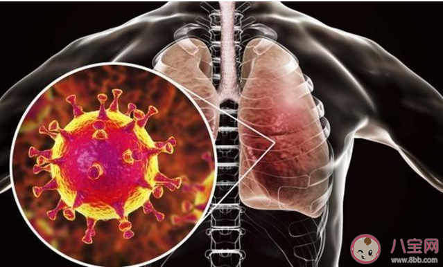 哪些人是新型冠狀病毒肺炎高危人群 新型冠狀病毒高危人群特點