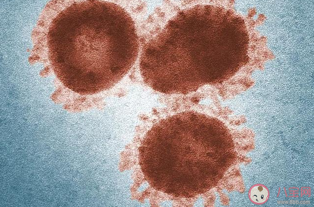 新型冠狀病毒肺炎被納入法定傳染病是什么意思 法定傳染病通常具備什么特點