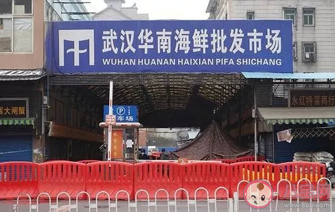 新型冠狀病毒是什么引起的 新型肺炎是什么動物引起的