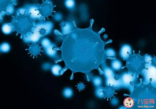 上海發熱門診地址在哪里 上海發熱門診醫療機構名單 上海發熱門診地址在哪里 上海發熱門診醫療機構名單