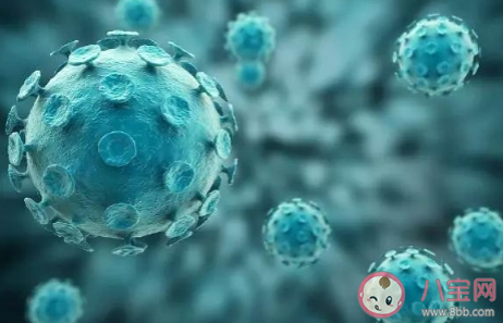 怎么讓孩子遠(yuǎn)離傳染病 孩子預(yù)防傳染病的方法