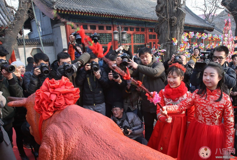 2020雙立春有什么說法講究 立春有什么習俗活動 2020雙立春有什么說法講究 立春有什么習俗活動