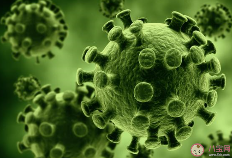 2020面對疫情我們的感受主題作文三篇 抗擊疫情的感受體會作文