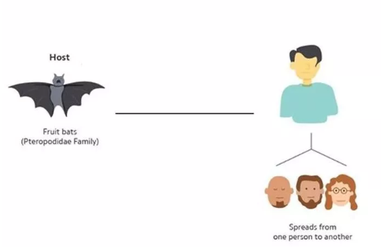 寶寶問(wèn)為什么不能出門(mén)怎么解釋 聰明的家長(zhǎng)怎么回答 寶寶問(wèn)為什么不能出門(mén)怎么解釋 聰明的家長(zhǎng)怎么回答