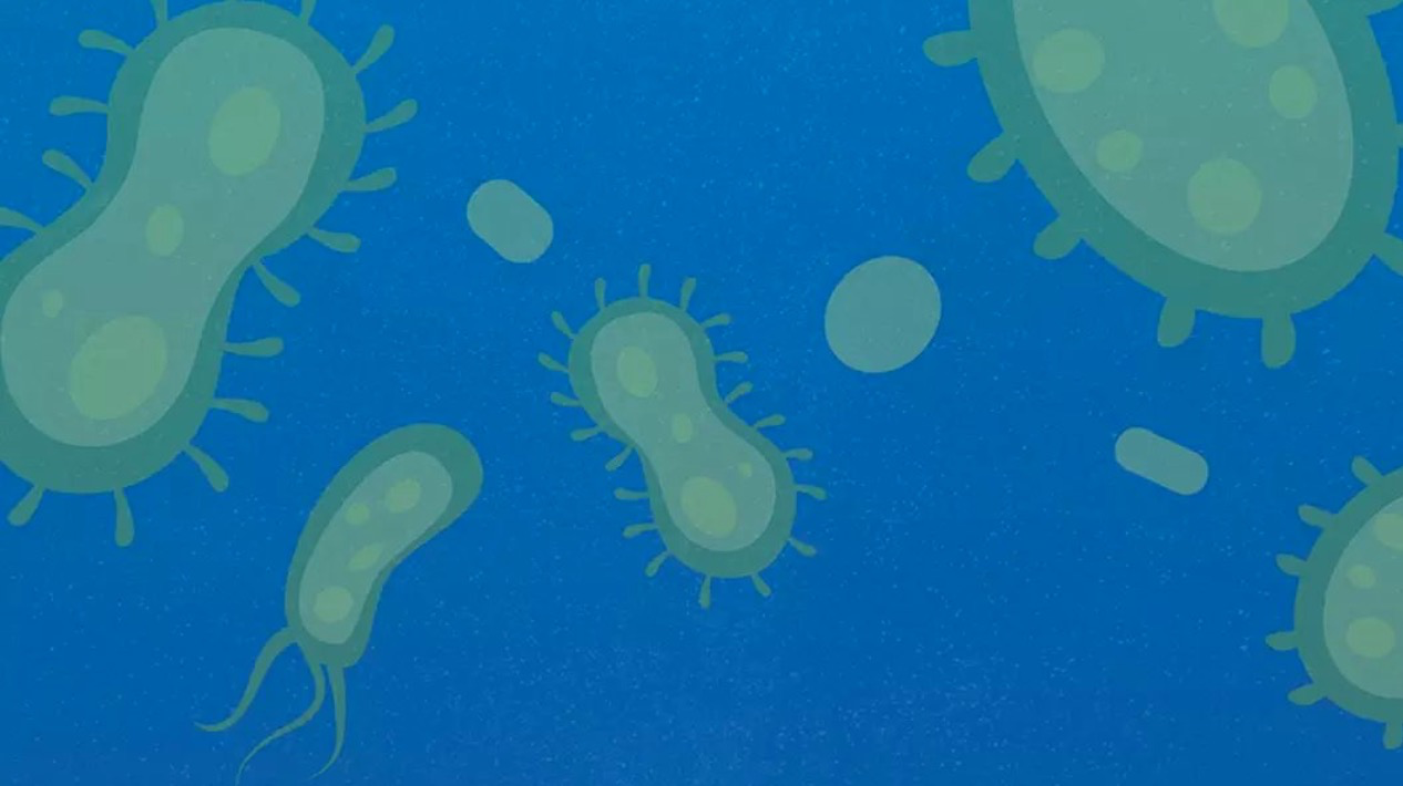 冠狀病毒對紫外線和熱敏感是真的嗎 新型冠狀病毒該怎么預(yù)防