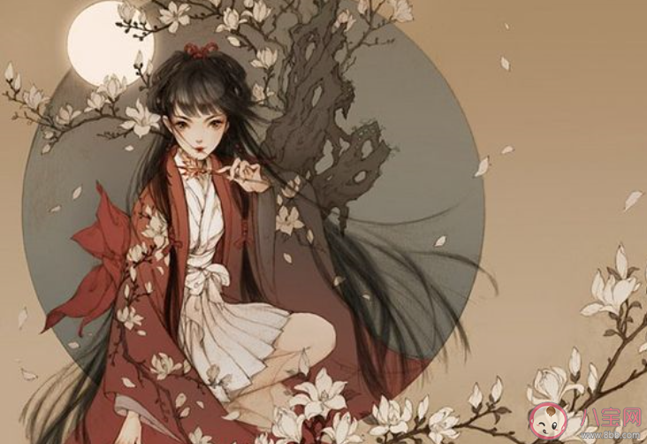 我是一代歌奴在這茫茫江湖是什么歌 《注定孤獨終老》完整版歌詞在線聽歌