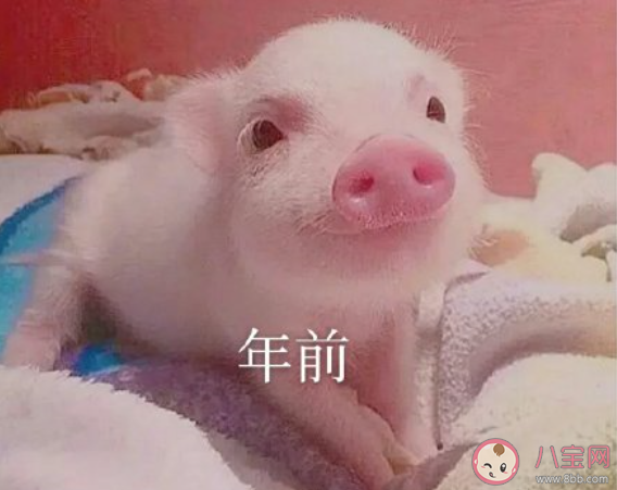 宅在家前后的顏值變化 宅在家前的顏值VS宅在家后的顏值 宅在家前后的顏值變化 宅在家前的顏值VS宅在家后的顏值