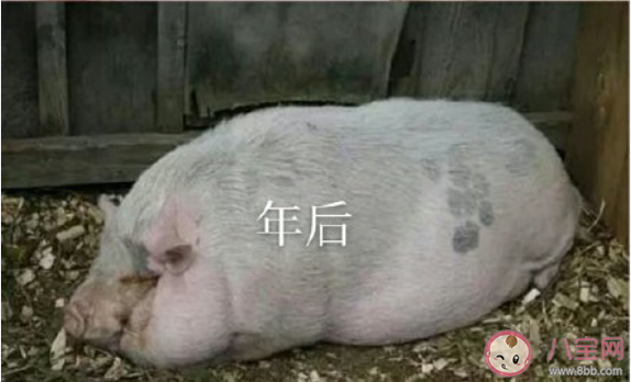 宅在家前后的顏值變化 宅在家前的顏值VS宅在家后的顏值 宅在家前后的顏值變化 宅在家前的顏值VS宅在家后的顏值