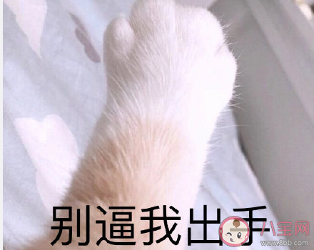 2020情人節不出門搞笑句子 情人節不出門幽默說說