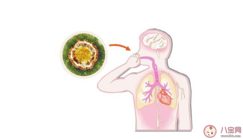 新冠肺炎疫情4月前會結(jié)束嗎 新冠肺炎疫情什么時候會結(jié)束 新冠肺炎疫情4月前會結(jié)束嗎 新冠肺炎疫情什么時候會結(jié)束