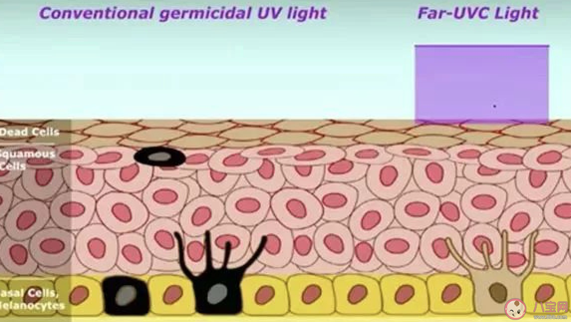 在家不能出門的心情說說 在不能出門的搞笑說說
